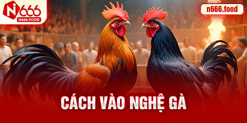 cách vào nghệ gà